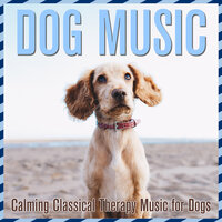 Acoustic Chill - Brain Power Flow & Deep Focus Stimulation