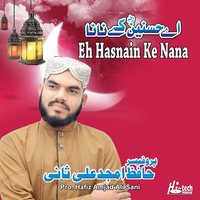 Aa Gai Khalaq Sari Maula Ali - Pro. Hafiz Amjad Ali Sani