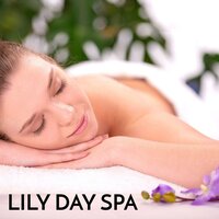 Lily Day Spa