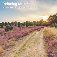 Background Music - Soft Music & Relaxation Music & Slow Music