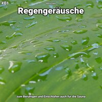 Regengeräusche, pt. 51 - Matties Nehl