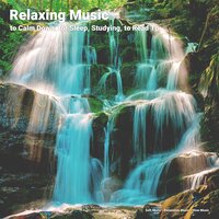 Peaceful Music - Soft Music & Relaxation Music & Slow Music
