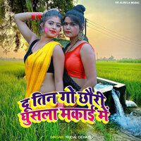 Du Tin Go Chhauri Ghusla Makai Me - Rudal Dehati