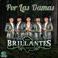 El Día Que Me Acaricies Lloraré - Los Brillantes de Chihuahua