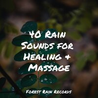 Gentle Fire Crackling - Baby Lullabies Music & Monarch Baby Lullaby Institute & Sounds of Nature: Thunderstorm, Rain