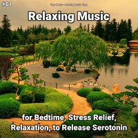 Relaxing Music Pt. 80 - Yoga Music & Relaxing music & Yoga