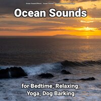 Thoughtful Ocean Waves Sounds - Ocean Sounds & Ocean Sounds Recordings & Ocean Sound Effects