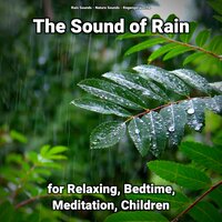 The Sound of Rain for Relaxing and Bedtime Pt. 96 - Nature Sounds & Rain Sounds & Regengeräusche