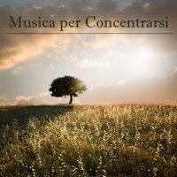 Natura - Scuola di Concentrazione