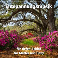 Entspannungsmusik - Entspannungsmusik Bodo Steier & Schlafmusik & Entspannungsmusik