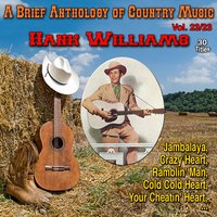 No One Will Ever Know - Hank Williams