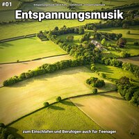 Entspannungsmusik pt. 45 - Entspannungsmusik Jakob Kohs & Schlafmusik & Entspannungsmusik