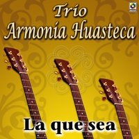 Mi Despedida - Trio Armonia Huasteca