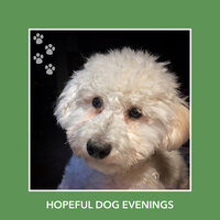 Drifting Atmosphere - Relaxing Dog Music
