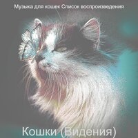 Звуки (Одинокие кошки) - Музыка для кошек Список воспроизведения