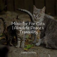 Music for For Cats | Absolute Peace & Tranquility