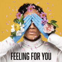 Feeling for You