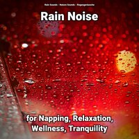 Rain Noise for Relaxation and Wellness Pt. 2 - Nature Sounds & Rain Sounds & Regengeräusche