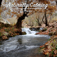 Wondering Heart Beat - Serenity Spa Music Relaxation