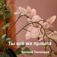Ты всё же пришла - Валерий Тихомиров