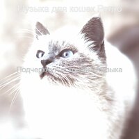 Музыка (Музыка) - Музыка для кошек Ретро