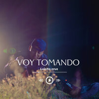 Voy Tomando - Luicito Cruz