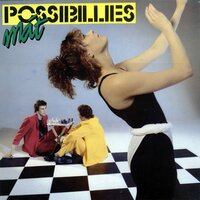 Skák - Possibillies