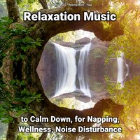 Relaxation Music to Calm Down and for Wellness Pt. 16 - Meditation Music & Relaxing music & Yoga