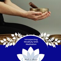 Introspecting Mindfully With Meditation