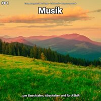 Entspannungsmusik pt. 71 - Entspannungsmusik Paul Esgen & Schlafmusik & Entspannungsmusik