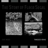 The Story of Flaca Segal, Vol. 003: Timeless Veins