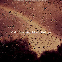 Glorious Backdrops for Reading - Calm Studying Music Deluxe