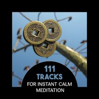 Practice Buddhist Meditate - Great Meditation Guru