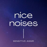 Nice Noises