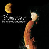 Joachim le métis - Shanipiap