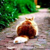 Кошки (Воспоминания)