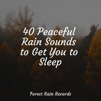 Holy Rains - Mother Nature Sound FX & Ambient Music Therapy & Mother Nature FX