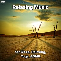 Calm Music Pt. 93 - Sleeping Music & Relaxing music & Yoga
