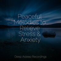 Peaceful Melodies to Relieve Stress & Anxiety