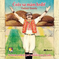 Dám ti, milá, tri dukáty – Zamilovau som si dievča - Vladimir Homola