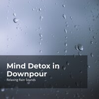 Gentle Pelting Rain - Relaxing Rain Sounds & Rain for Sleep & Rain Drops for Sleep