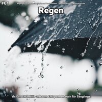 Regen, pt. 80 - Regengeräusche zum Einschlafen und Durchschlafen & Regengeräusche & Naturgeräusche