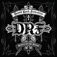 Gambler Gambler - David Rock Feinstein