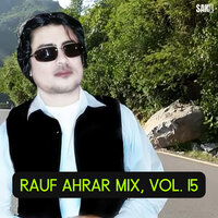 Rauf Ahrar Mix, Vol. 15