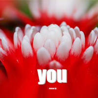 You - Roman LP