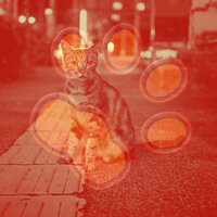 Jazz - Background Music for Happy Cat