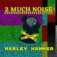 2 Much Noise