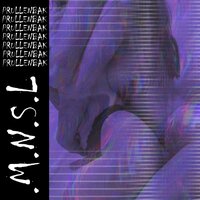 M.N.S.L. - Prullenbak