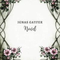 Novel