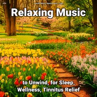 Relaxing Music Pt. 76 - Peaceful Music & Relaxing music & Yoga